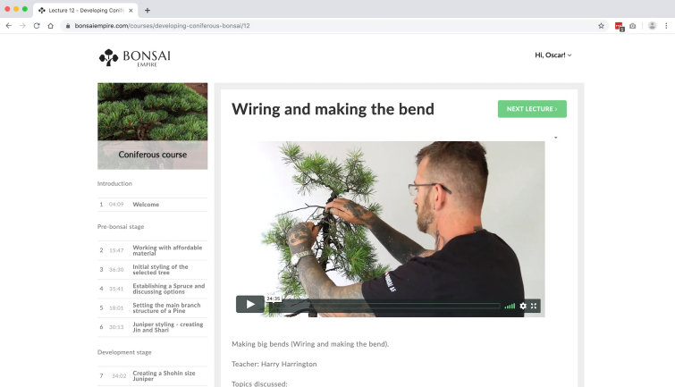 Develop Coniferous Bonsai